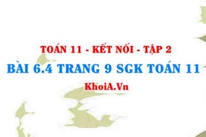 Bài 6.4 trang 9 Toán 11 Kết nối tri thức Tập 2